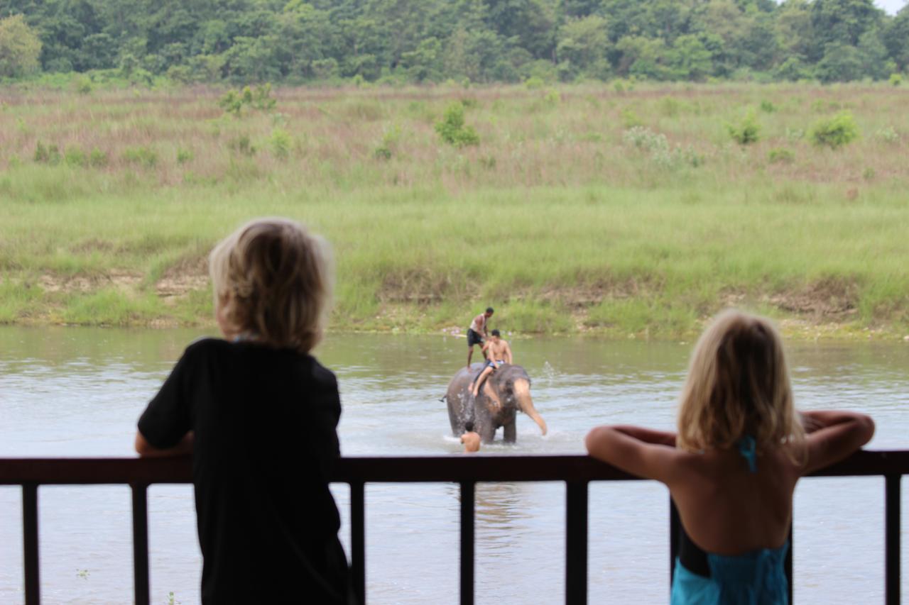 Jungle Sunset Camp Otel Sauraha Dış mekan fotoğraf