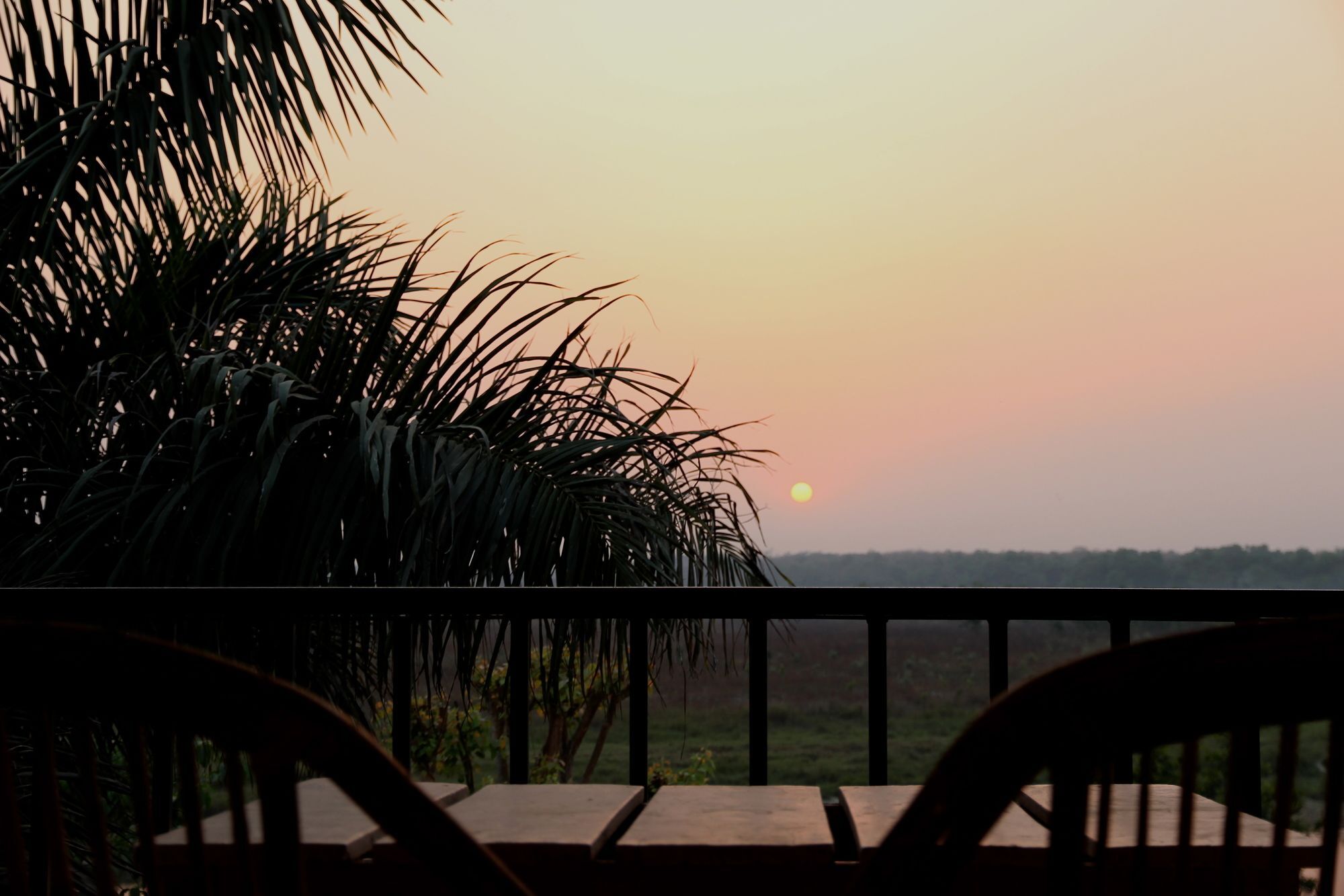 Jungle Sunset Camp Otel Sauraha Dış mekan fotoğraf