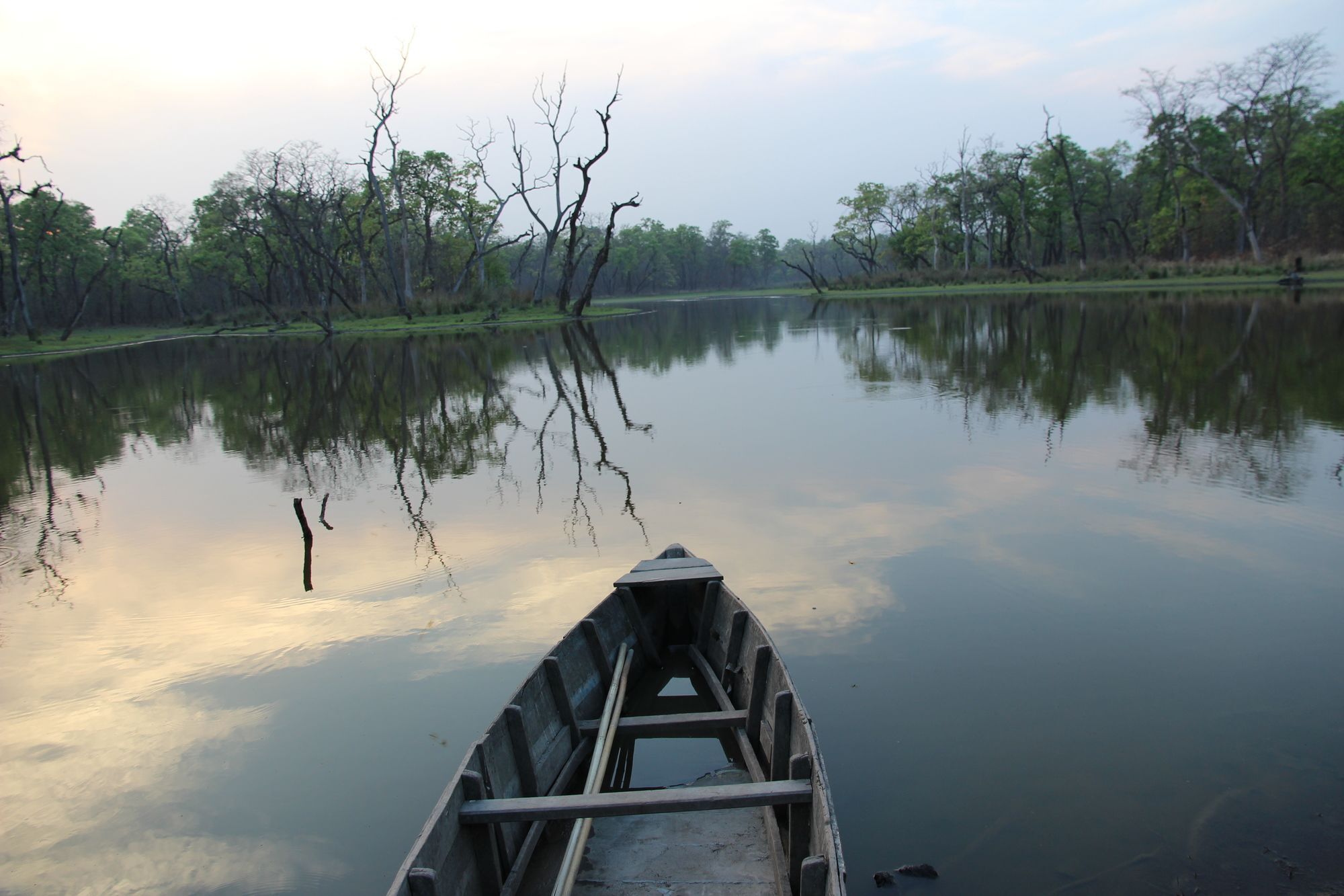 Jungle Sunset Camp Otel Sauraha Dış mekan fotoğraf
