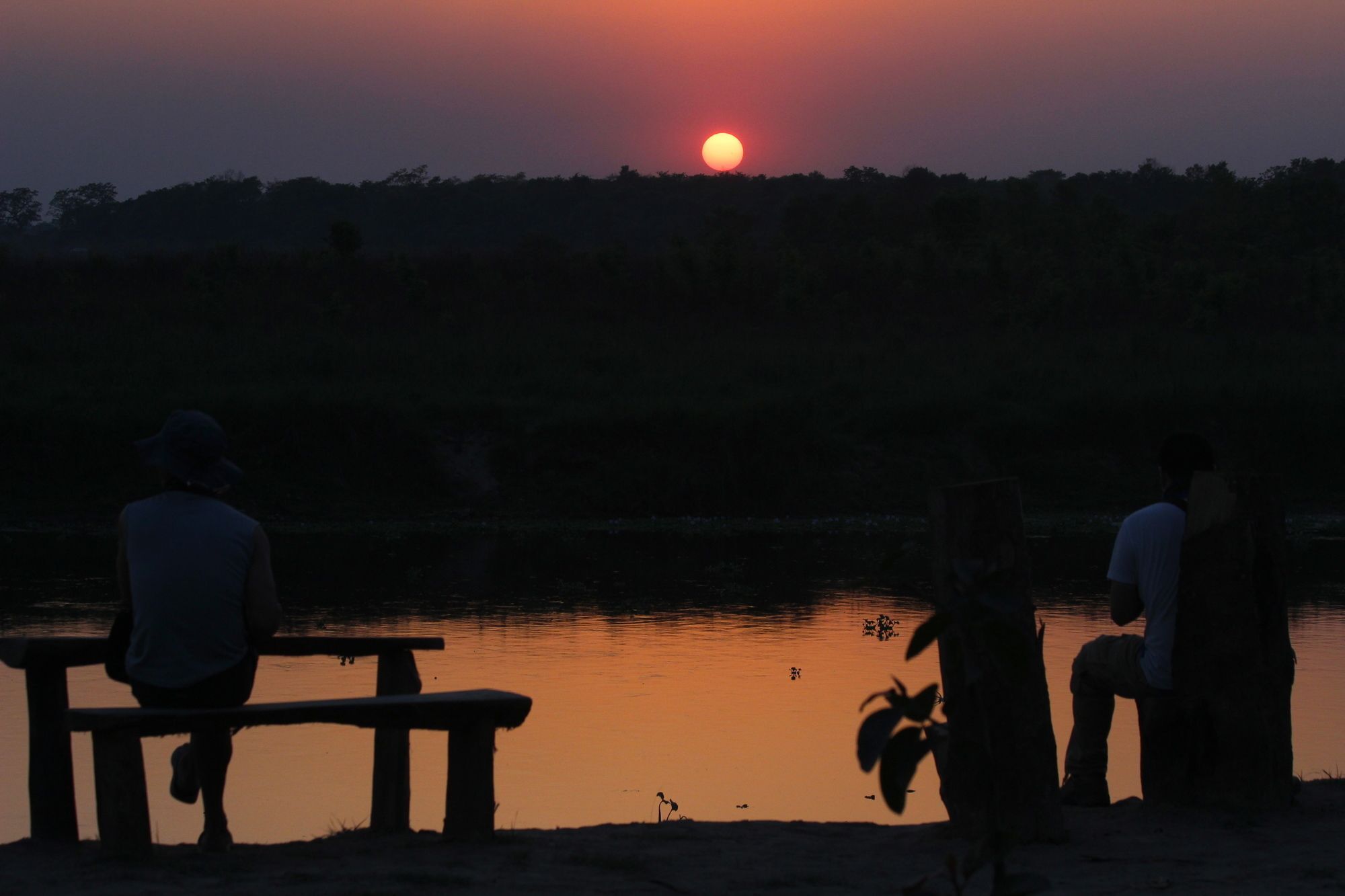 Jungle Sunset Camp Otel Sauraha Dış mekan fotoğraf