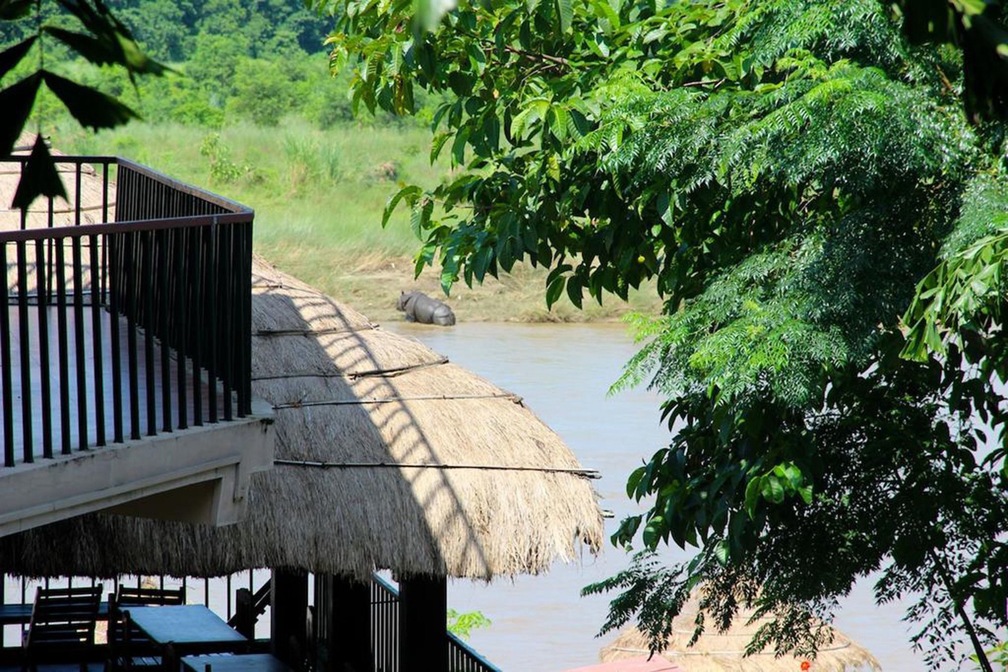 Jungle Sunset Camp Otel Sauraha Dış mekan fotoğraf